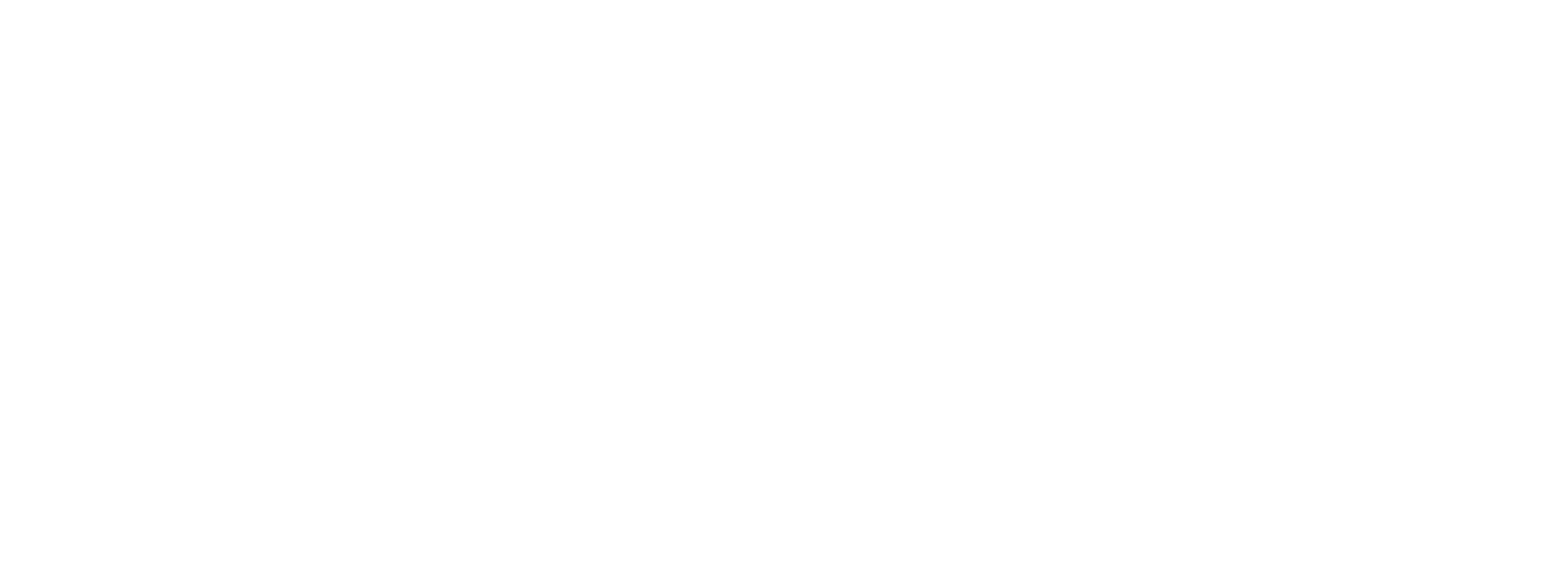 Accorg Consulting